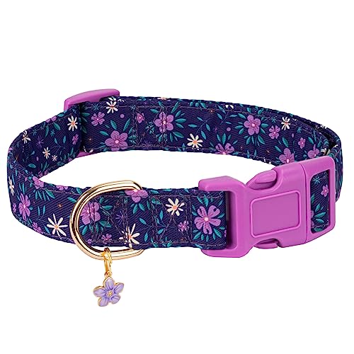 Gelwoo Niedliches Hundehalsband, verstellbar und leicht, für Mädchen, Hündinnen, Jungen, weiches und schickes Sommer-Hundehalsband mit Blume, spezielles Design, Haustierhalsband für kleine, von Gelwoo