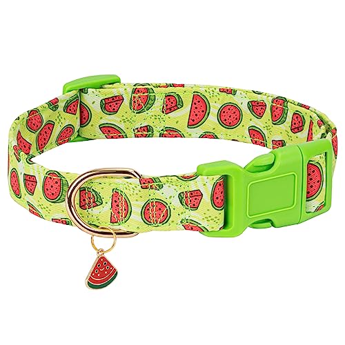 Gelwoo Niedliches Hundehalsband, verstellbar und leicht, für Mädchen, Hündinnen, Jungen, weiches und schickes Sommer-Hundehalsband mit Wassermelone, spezielles Design, Haustierhalsband für kleine, von Gelwoo