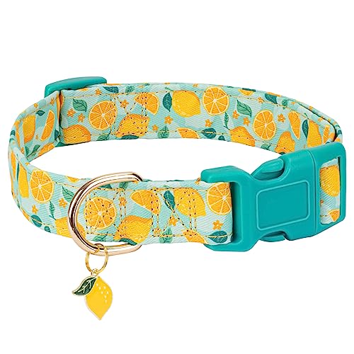 Gelwoo Niedliches Hundehalsband, verstellbar und leicht, für Mädchen, Hündinnen, Jungen, weiches und schickes Sommer-Hundehalsband mit Zitrone, spezielles Design, Haustierhalsband für kleine, von Gelwoo