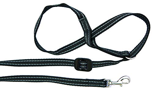 Gencon All-in-1 Hundeleine und Halfter mit Clip am Halsband, Schwarz/Silber von Gencon