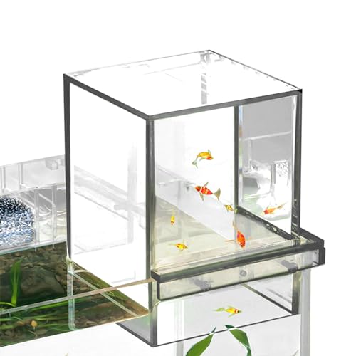 1/2 Stück Meeres-Aquarium, transparentes Fisch-Aquarium, Acryl-Marine-Tank, kleines Wasser-Aquarium, Druckfisch-Aufzugs-Tank für Aquarium-Wasserpflege von Generic