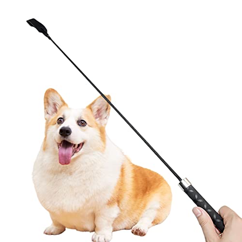 2 Hund Teaser | Reitpeitschen Springschläger Reitsport Peitschen Pet Training - Pet Flirt Stick Pole Interaktives Spielzeug für kleine, mittelgroße Hunde, Training, Spielübung von Generic