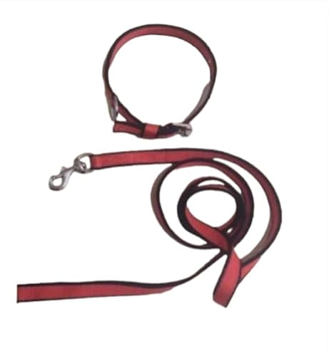 2A Digital Solutions Reflektierendes Hundehalsband, 2,5 cm, Hundehalsband-Leinen-Set mit bequemem, gepolstertem Griff und stark reflektierenden Sicherheitshalsfäden für Haustiere, für kleine, von Generic