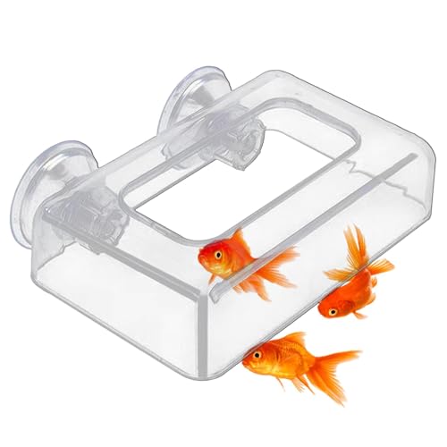 Acryl-Fischtank-Feeder-Fixed Floating & Flockenfutterspender, breites Fütterungsbereich, chaotfreies Aquarium-Fütterungswerkzeug für Betta, Goldfische, tropische Fische in Süßwasser- und Salzwasserfis von Generic