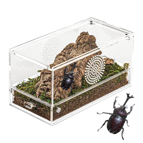 Acryl Reptilien Terrarium Box, Magnetknopf Transparent Insekten Terrarium,Mikro Habitat Schnecken Terrarium for Kleine Reptilien,Spinnen, Schnecken, 20x10x10 cm von Generic