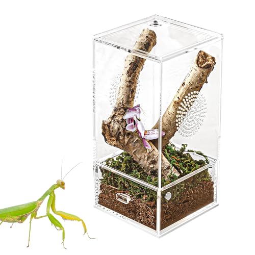 Acryl Reptilien Terrarium Box, Transparente Vollständige Ansicht Reptilien Insekten Futterbox for Kleine Reptilien und Wirbellose Tiere, Gottesanbeterin, Spinne,Grille,Vogelspinne,10x10x20 cm von Generic