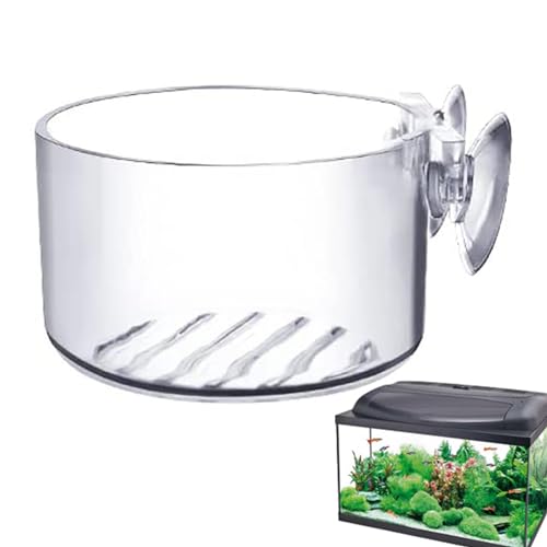 Acryl-Wasserpflanzen-Becher – Wasserpflanzen-Acryl-Ständer für Aquarien, dekoratives Werkzeug mit Durchlässslöchern für Salz- und Süßwasser-Aquarium von Generic