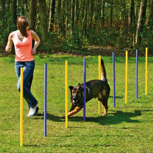 Agility-Slalom-Set, professionelles Stangen-Set – 6 Stangen, Trainingsstangen – Slalomstangen – Slalomstangen – Hundetraining, Sport und Wettkampf – Agility und Agility-Hund – von Generic