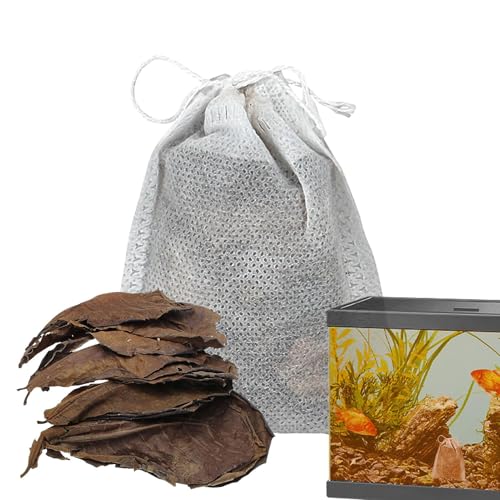 Aquarien Catappa Leaves – Natürliche indische Mandelblätter für Aquarien, Aquarium-Wasseraufbereiter | Mandelblätter für Aquarien, perfekt für Betta-Fische, Garnelen, Aquarium-Garnelenbecken, Wasserpf von Generic