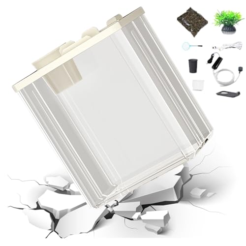 Aquarium-Aquarium – Glas-Aquarium mit Filter, kompaktes Tisch-Aquarium | Hochklares Glasaquarium, selbstreinigendes Aquarium mit LED-Licht, min-Aquarium für Betta-Garnelen, kleine Fische von Generic