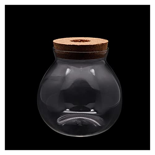 Aquarium Mini Betta Aquarium Ornament Aquarium Pflanzen Dekoration Hintergrund Haustier Zubehör Zubehör Landschaft Ökologische Flasche Fisch Aquarium Schalen (Farbe: leerer Zylinder, Größe: 12 x 13 von Generic