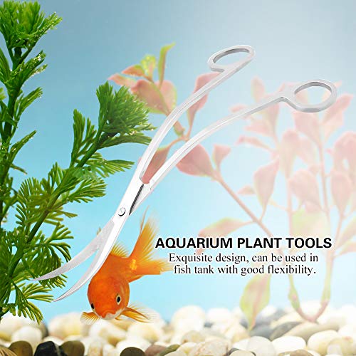 Aquarium-Schere, Gebogene Schere, Extra Lange Aquarium-Schere für Wasserpflanzen, Pflanzenschere, Trimmen von Innen-Edelstahl, Gebogene Aquarium-Schere, Werkzeug Zum Trimmen von Aquarium-Schere, Gebogene Schere, Extra Lange Aquarium-Schere für Wasserpflanzen, Pflanzenschere, Trimmen von Innen-Edelstahl, Gebogene Aquarium-Schere, Werkzeug Zum Trimmen von von Generic