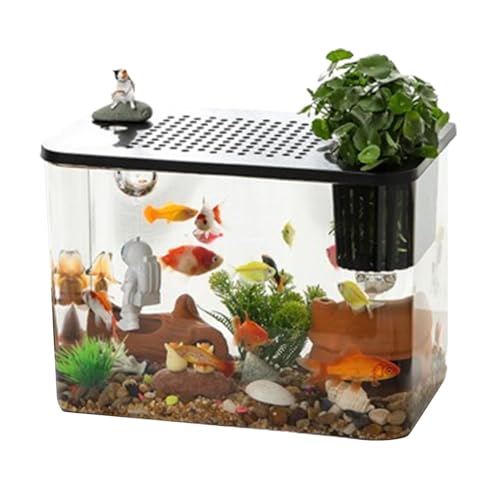 Aquarium Starter-Kits, Betta Aquarium Tank Starter Kits | Desktop Display für Goldfischschildkröten Aquarium | Kleine Aquarien, Kompakter Tank Dekoration von Generic