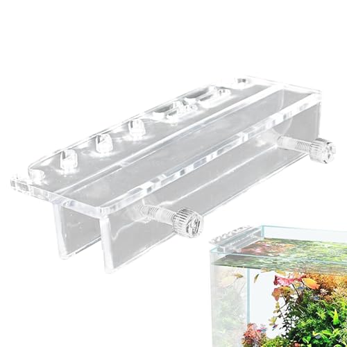 Aquarium-Werkzeug-Organizer – Aquarium-Pinzetten-Organizer- – Fisch-Pinzetten-Scheren-Aufbewahrungsregal, Acryl-Fisch-Werkzeug-Organizer von Generic