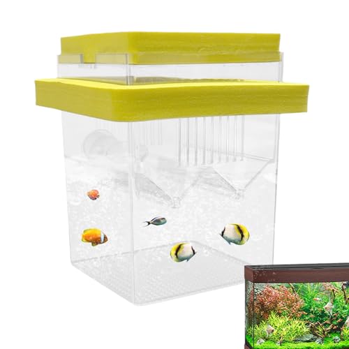 Aquarium Zuchtbox - Fischbrand -Isolationstank für, Betta & LiveBearers | Schwimmender Fischgärtner mit Saugnäpfeln | Safe Laich- und Mutterschaftsbox für Bruty & Fry Wachstum von Generic