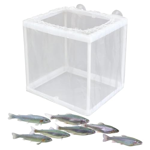 Aquarium Züchter Box - Fischzüchter Box, Tank Inkubator Box | Aquarium Hatcher Juvenile Fish Separation Net mit Saugnäpfen, Juvenile Fish Separation Mesh Container für Guppy Clownfisch von Generic