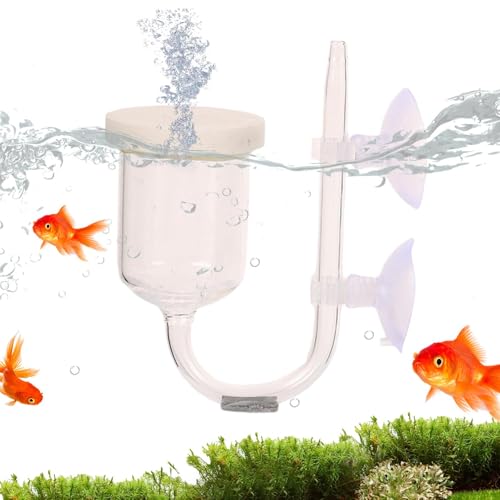 Atomisierte Sauerstoffscheibe, Luftdiffusor für Aquarien, Raffination Diffusor Bubble Maker Sauerstoffpumpe Luft - Sauerstoffpumpe für Fische mit Luftscheibe Raffinator für Aquarium praktisch und von Generic