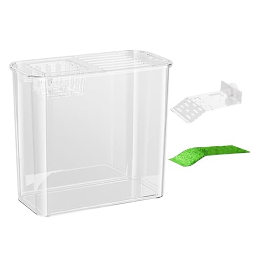 Betta Aquarium - Schildkrötenpanzer, Klarer Schildkrötenlebensraum | Zierfischglas, Multifunktionsbereiche, Schildkrötenbecken-Starter,Kleines Aquarium, Aquarium-Starter von Generic