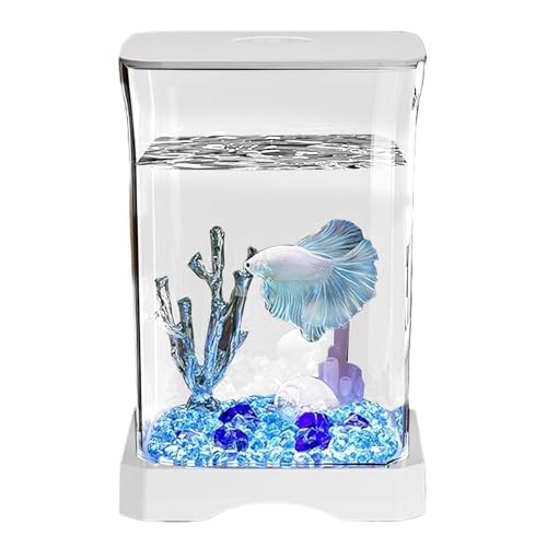 Betta Fischtank - kleines Aquarium | Kleine Fischtanks Starter -Kit mit LED -Lampe | Tabletop -Aquarien | Rechteckiges Aquarium für Tafeldekorationsimobiliendekoration von Generic