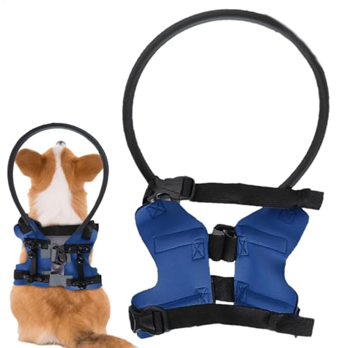 Blind Dog Bumper Harness Training Safety Adjustable Lightweight Bumper Protective Pet Collar Anti Collision Rings Protective Device for Eye Injury von Generic