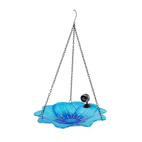 Blue Disc Bird Feeder mit Kamera 1080P Nachtversion Videokamera WiFi Hotspot Fernverbindung mit Mobiltelefon für Outdoor-Vogelbeobachtungsfotos JoQ598 (Sky Blue, One Size) von Generic