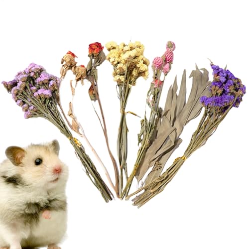 Blumenbettwäsche für Hamster | Lebensraumdekoration von Kleintieren | Mäusebewohnungsgehege Dekoration | Natürliche Blumen für Hamster | Sprayset von Generic