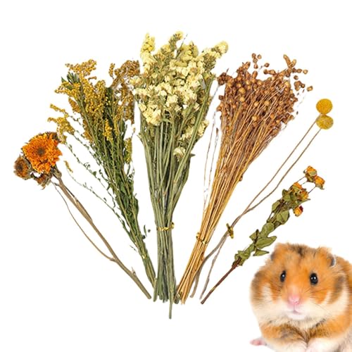 Blumenhamster-Bettwäsche, natürliche Geruchskontrolle, bequeme Tier-Blumenwohndekoration, weiche und saugfähige Blumenhamster-Bettwäsche für Kleintiere, Hamster, Rennmäuse, Mäuse von Generic