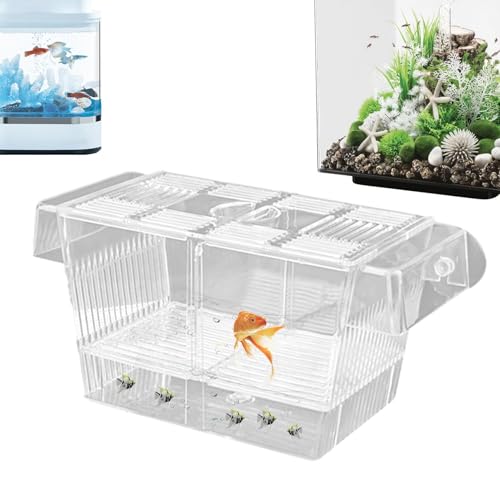 Box für die Fischzucht Brutkasten aus Acryl Brutkasten für die Fischzucht Box für Aquarium-Trennwand Akklimatisierungsbox 'Kindergarten Nestbox für Züchter von Generic