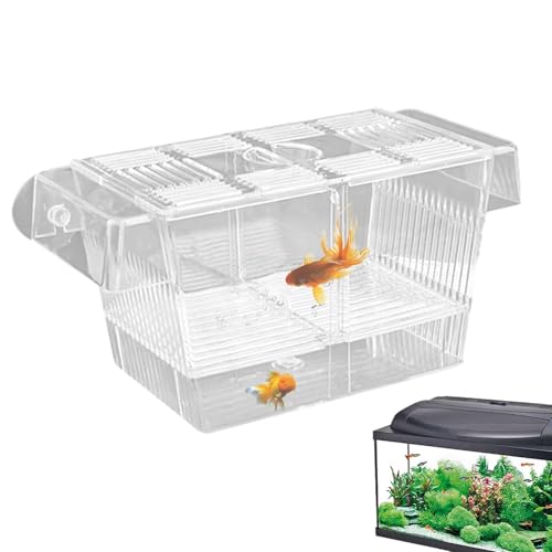 Brutkasten für Aquarien – Brutkasten aus Acryl, Trennwand für Aquarien | Acryl-Aquarium-Brutkasten für Jungfische, Garnelen, Kampffische und Guppys von Generic