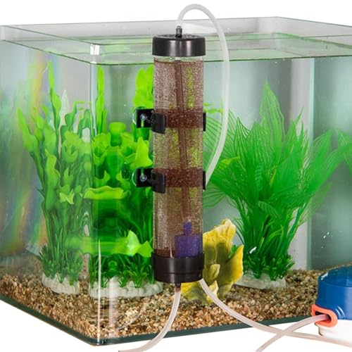 Brutkasten für Garneleneier - Artemia Brutstätte, Aquarium Brutgerät, Brutgerät | Brüterei für Salzwassergarnelen, Garneleneier-Inkubator, zuverlässiges Brutwerkzeug für Aquarien Brutkasten für Garneleneier - Artemia Brutstätte, Aquarium Brutgerät, Brutgerät | Brüterei für Salzwassergarnelen, Garneleneier-Inkubator, zuverlässiges Brutwerkzeug für Aquarien von Generic