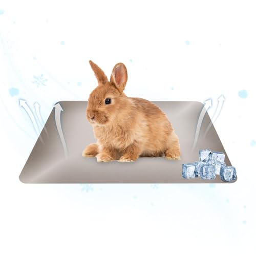 Bunny Cooling Pad Große wiederverwendbare Aluminiumplatte, 49,6 x 30 cm, Wärmeableitungsplatte, Matte für Zuhause, warmes Wetter, kleine Tiere von Generic