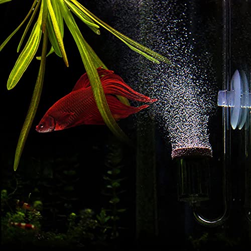 CO2-Diffusor Aquarium, Blasen-Diffusor Aquarium Co2-System Aquarium Blasen-Zähler Kohlendioxid Transparentes CO2-Bubbaugg-Raffinerie mit Saugnapf für Aquarien-Pflanzen-Fisch-Tank von Generic