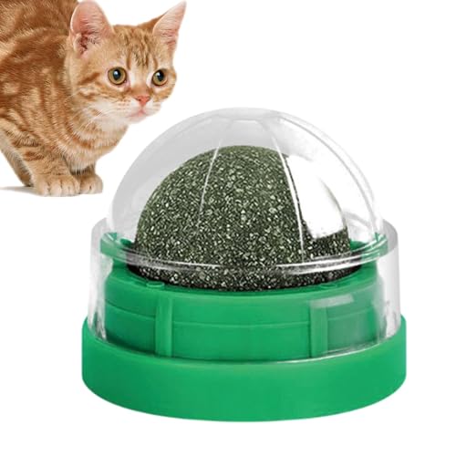 Cat Nip Balls, Katzenminze-Bälle, die an der Wand haften - Kauspielzeug zum Beißen und Lecken von Katzen | Katzenbiss-Lick-Kauspielzeug, Katzenminze-Rollerball, Katzen-Leckerli-Ball, Katzenspielzeug f von Generic