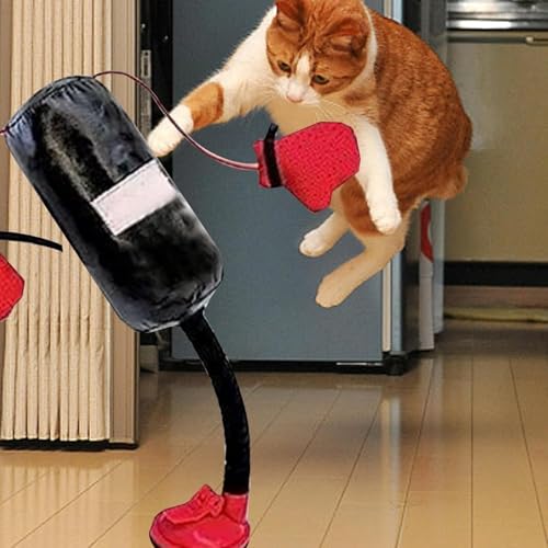 Cat Punching Bag Toy Katzen-Boxsack, Kätzchen Übungsspielzeug mit Boxhandschuhen, Boxsack Boxspielzeug für Katzen, Kreatives Katzenspielzeug für Interaktives Boxen Katzenspielzeug (Black, 38CM) von Generic