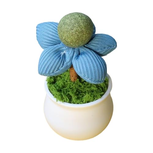 Catnip Lick Balls for Cats, Catnip Toys for Cats – Katzenspielzeug mit – Indoor Kätzchen Unterhaltung für Haustiere zum Spielen bei der Reinigung der Zähne zum Verstecken Catnip Lick Balls for Cats, Catnip Toys for Cats – Katzenspielzeug mit – Indoor Kätzchen Unterhaltung für Haustiere zum Spielen bei der Reinigung der Zähne zum Verstecken von Generic