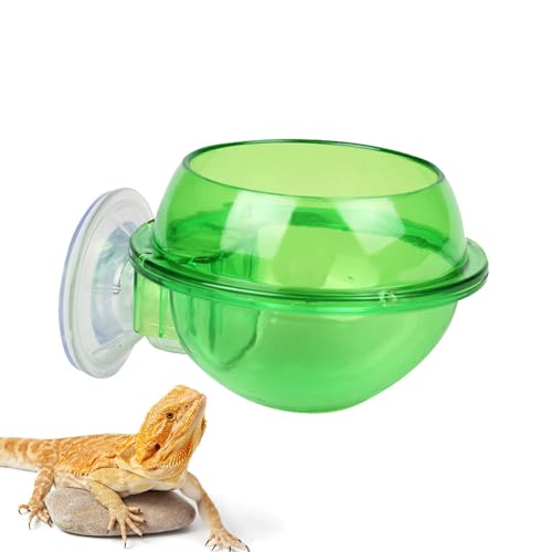 Chamäleon Futternapf, Chamäleon Bowl, Feeder Wassernapf für Reptilien - Reptilien Feeder Wassernapf Chamäleon Fütterung Futter Bowl Wassernapf von Generic