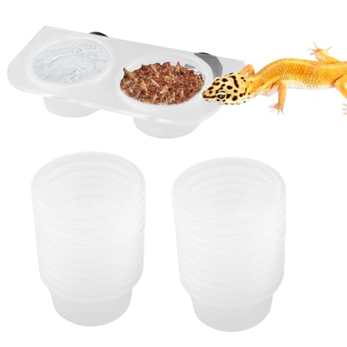Chamäleon-Spender - Box zur Fütterung von Reptilien, leicht zu reinigender Wasserspender für Chamäleon-Krabben Chamäleon-Spender - Box zur Fütterung von Reptilien, leicht zu reinigender Wasserspender für Chamäleon-Krabben von Generic
