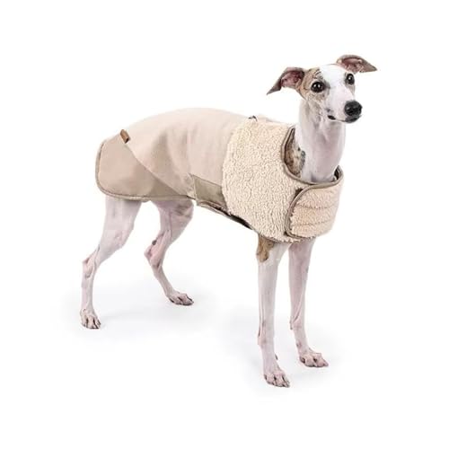 Dog Cold Weather Coat,Dog Windproof Coat Cotton,Size S/M/L/XL for Small Medium Large Dogs Winter Pet Clothes(Beige,XL) von Generic