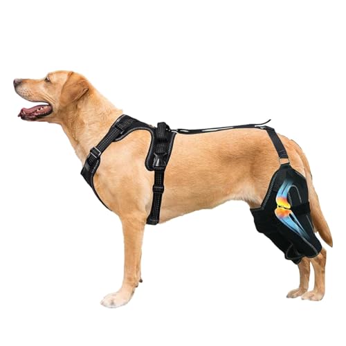 Dog Knee Brace - Verstellbare Hundestütze, Stabilisator für das Hinterbein | Kompressions-Bein-Findung für Hunde zur Erholung von Verletzungen, Entlastung, P von Generic