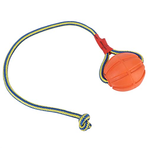 Doggie Disc Ball für Kleine Hunde, Ball Am Seil, Hundespielzeug, Seil und Ball, Hundespielzeug, Übungs- und Belohnungswerkzeug, Anbindeseil, Outdoor-Hundespielzeug für von Generic