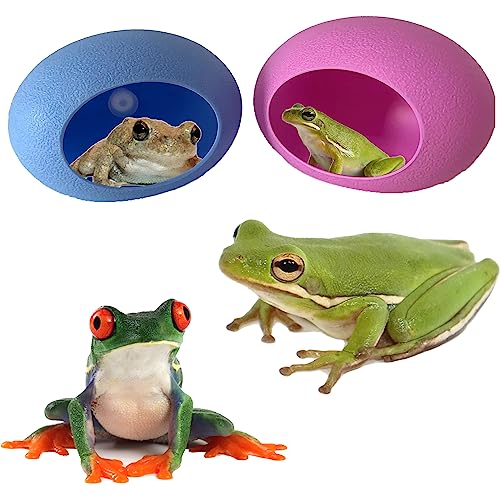 Eierförmige Frösche mit Saugnäpfen, Froschschalenhalter, niedliches Frosch-Terrarium, Zubehör für Frosch, Kröte, Kaulquappe, Frosch-Aquarium, Frosch-Aquarium, 2 Stück von Generic