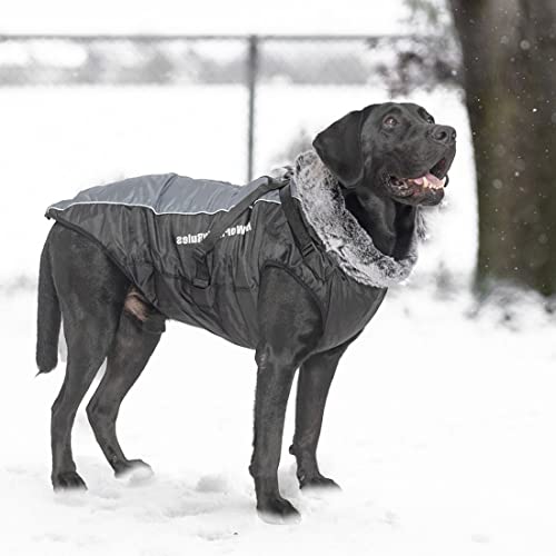 Enetos Hundemantel Wasserdicht Winter mit Geschirr Hundejacke Bauch Schützen Haustier Weste Jacke mit Reißverschluss reflektierender & winddichter Hundejacke für Mittlere Große Hunde (4XL) von Generic