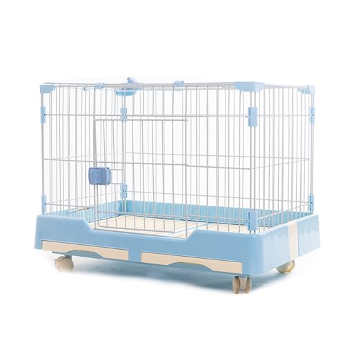 Faltbare Hundebox Hundebox für Zuhause Extra Geräumige Hundebox mit Doppeltüren für Einfache Installation Geeignet für Kleine und Mittelgroße Hunde 3 Farben(Blue,74 * 49 * 56cm) von Generic