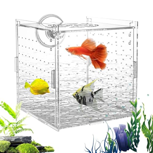 Fisch-Zuchtbox - Klar-Acryl Aquarium Aufzuchtbox | Stabile Zuchtbox Mit Trennwand Für Eier Jungfische Guppys Skalare Antennenwelse Fisch-Zuchtbox - Klar-Acryl Aquarium Aufzuchtbox | Stabile Zuchtbox Mit Trennwand Für Eier Jungfische Guppys Skalare Antennenwelse von Generic