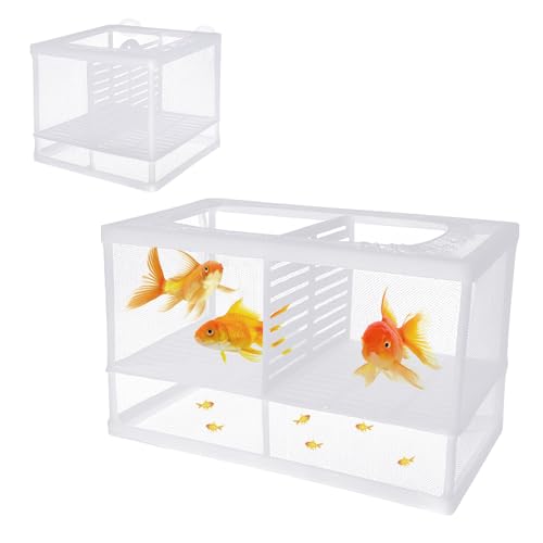 Fisch Züchter Box Fisch Aquarium Isolation Box Fisch Trennwand Züchter Box mit Saugnäpfen für Babyfische Garnelen Clownfisch Guppy Weiß von Generic