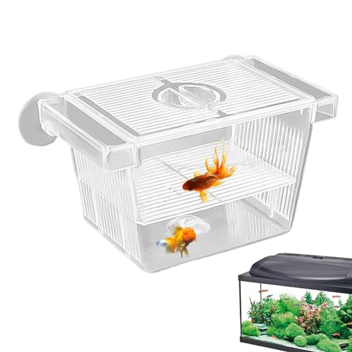 Fischaufzuchttanks – Acryl-Brut-Inkubator-Tank-Fischtank-Trennwand | Acryl-Aquarium-Brutkasten für Jungfische, Garnelen, Kampffische und Guppys von Generic