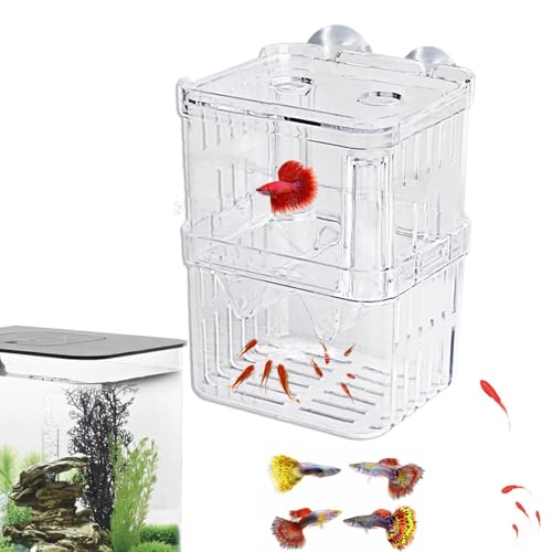 Fischzuchtbecken – Fischisolationsbox, Betta-Fischaquarium | Acryl-Brüterei-Inkubator-Tank-Fischtank-Trennwand, Acryl-Aquarium-Brut-Inkubator für Babyfische, Garnelen, Kampffische und Guppys von Generic