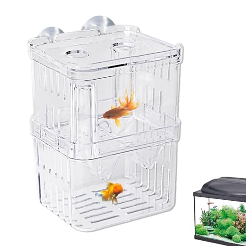 Fischzuchtbox – Acryl-Trennwand für Brutbrüter | Aufzuchtbox für Aquarien Inkubator für Babys Garnelenfische Betta und Guppy von Generic