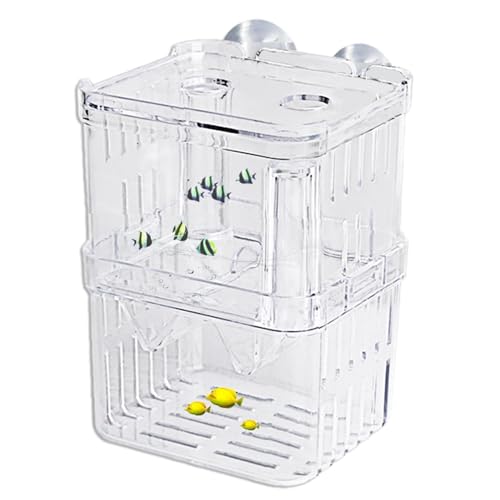 Fischzuchttanks – Acryl-Brutkasten, Aquarium-Trennwand, Akklimatationsbox, schwimmendes Design, Baby-Fischbecken für Babyfische, , Clownfische Fischzuchttanks – Acryl-Brutkasten, Aquarium-Trennwand, Akklimatationsbox, schwimmendes Design, Baby-Fischbecken für Babyfische, , Clownfische von Generic