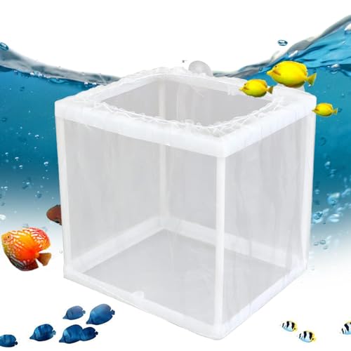 Fischzüchterbox – Fischgeburtstank, Aquarium Züchterbox | Tank Inkubator Box, Diys Aquarium Hatcher Mesh Box, Juvenile Fish Separation Net, Fish Fry Hatchery mit Saugnäpfen für Fische von Generic